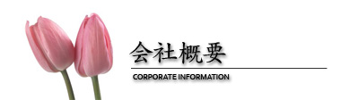 会社概要