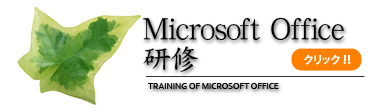 Office 研修